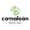 Negocio Camaleón Innova | Agencia De Marketing Y Publicidad