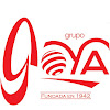 Negocio Centro Reprografico Goya