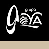 Negocio Gráficas Goya - Paneldigital