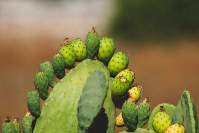que es la impresion ecologica y como encontrar imprentas sostenibles Imprentas en España