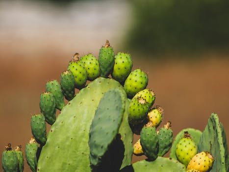 que es la impresion ecologica y como encontrar imprentas sostenibles Imprentas en España