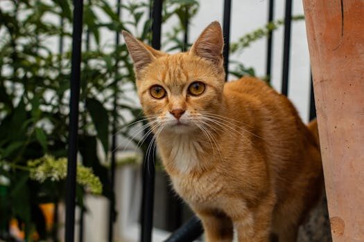 que es el merchandising impreso ecologico Imprentas en España
